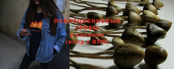 дживик Михайловск