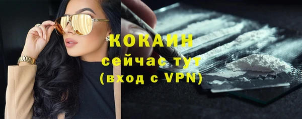 дживик Михайловск