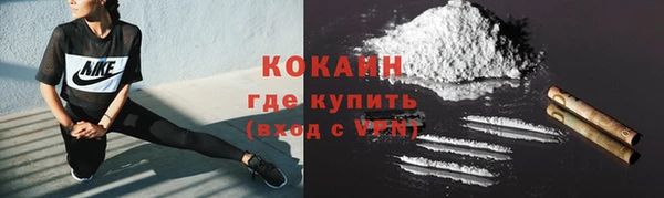 соль ск Михайлов