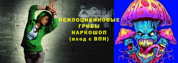 дживик Михайловск