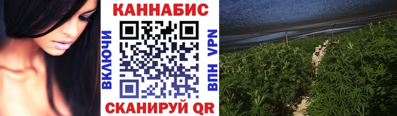 Шишки марихуана MAZAR  Купить  Ардон 